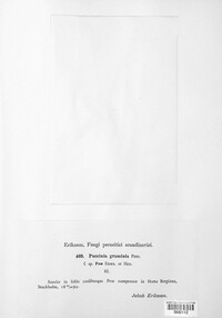 Image Associated With the Occurence